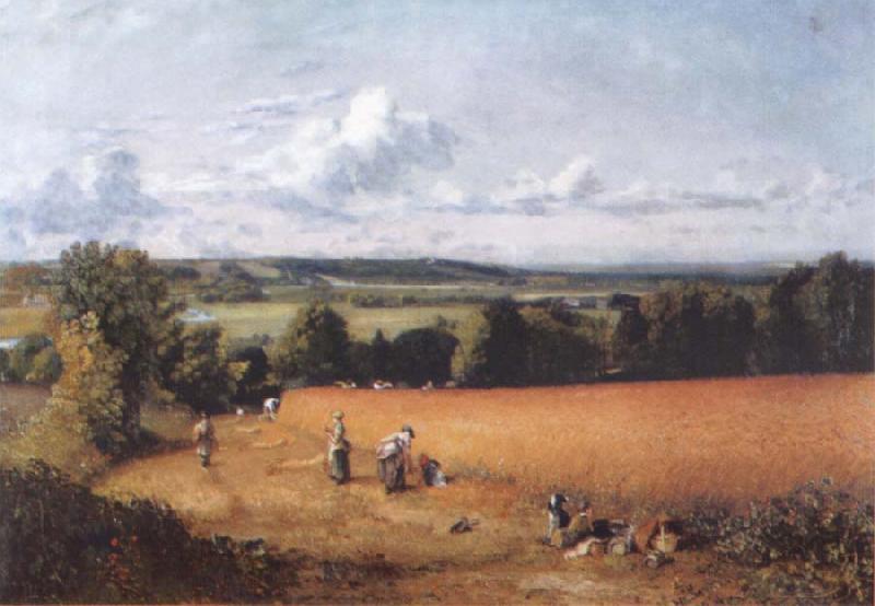John Constable The wheatfield Germany oil painting art